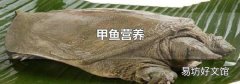 甲鱼营养