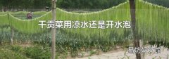 干贡菜用凉水还是开水泡