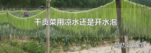 干贡菜用凉水还是开水泡