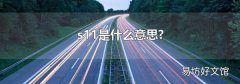 s11是什么意思?
