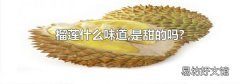 榴莲什么味道,是甜的吗?