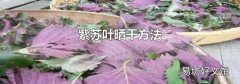 紫苏叶晒干方法