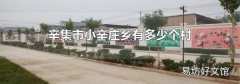 辛集市小辛庄乡有多少个村