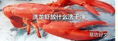 洗龙虾放什么洗干净