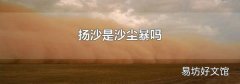 扬沙是沙尘暴吗