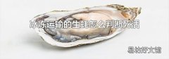 冰冻运输的生蚝怎么判断死活