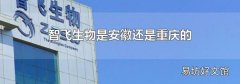 智飞生物是安徽还是重庆的