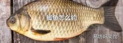 鲫鱼怎么钓