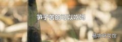 笋子苦的可以吃吗