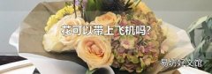花可以带上飞机吗?
