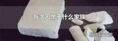 海洛因属于什么家族