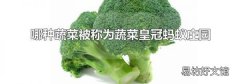 哪种蔬菜被称为蔬菜皇冠蚂蚁庄园