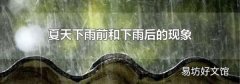 夏天下雨前和下雨后的现象