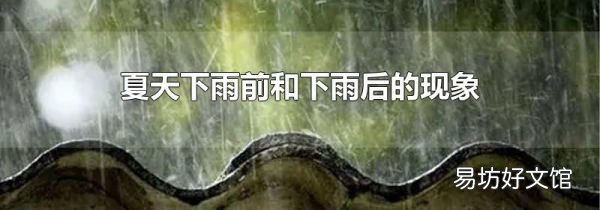 夏天下雨前和下雨后的现象