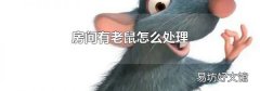 房间有老鼠怎么处理