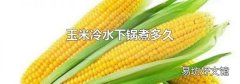 玉米冷水下锅煮多久