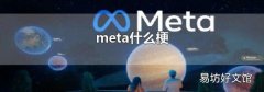 meta什么梗