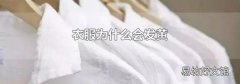 衣服为什么会发黄
