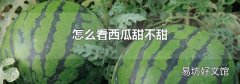 怎么看西瓜甜不甜
