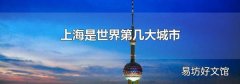 上海是世界第几大城市