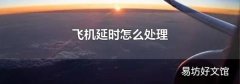 飞机延时怎么处理