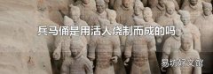 兵马俑是用活人烧制而成的吗