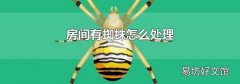 房间有蜘蛛怎么处理