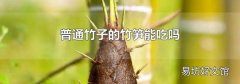 普通竹子的竹笋能吃吗