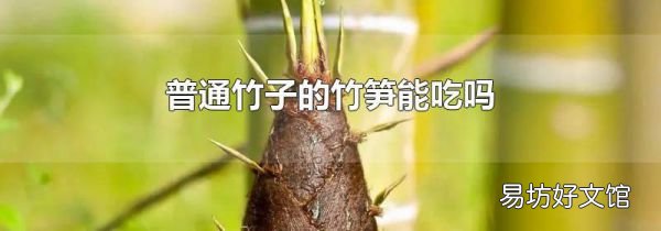 普通竹子的竹笋能吃吗