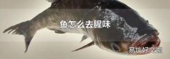 鱼怎么去腥味