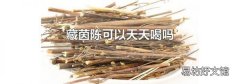 藏茵陈可以天天喝吗