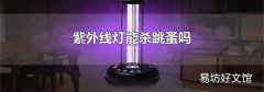 紫外线灯能杀跳蚤吗