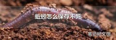 蚯蚓怎么保存不死