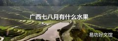 广西七八月有什么水果