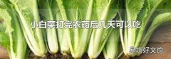 小白菜打完农药后几天可以吃