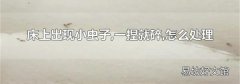 床上出现小虫子,一捏就碎,怎么处理