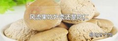 风流果吃外壳还是吃仁