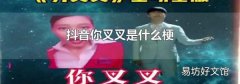 抖音你叉叉是什么梗