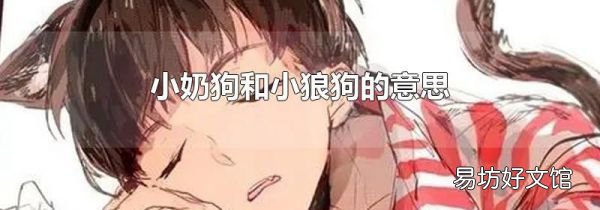 小奶狗和小狼狗的意思