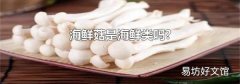 海鲜菇是海鲜类吗?