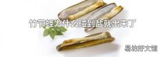 竹节蛏为什么碰到盐就出来了