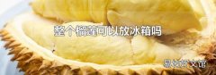 整个榴莲可以放冰箱吗
