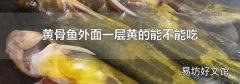 黄骨鱼外面一层黄的能不能吃