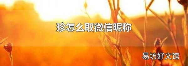 珍怎么取微信昵称