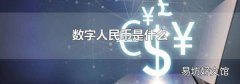 数字人民币是什么
