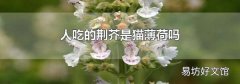 人吃的荆芥是猫薄荷吗