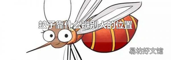 蚊子靠什么辨别人的位置