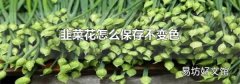 韭菜花怎么保存不变色