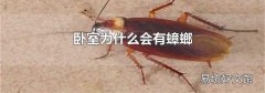 卧室为什么会有蟑螂