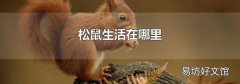 松鼠生活在哪里